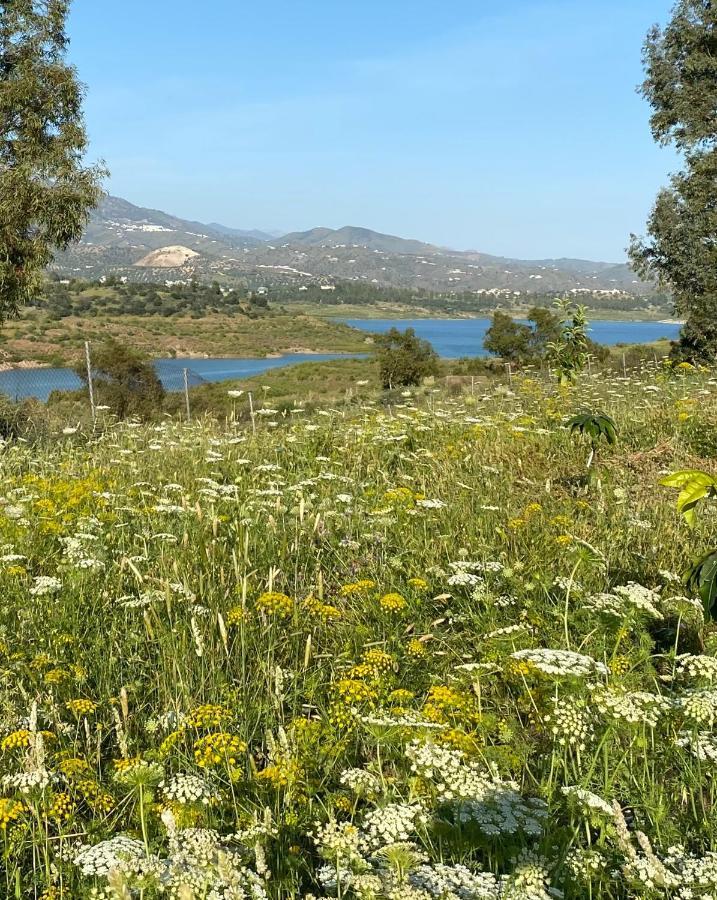 La Rustica En Vinuela, Piscina Privada Villa Bagian luar foto