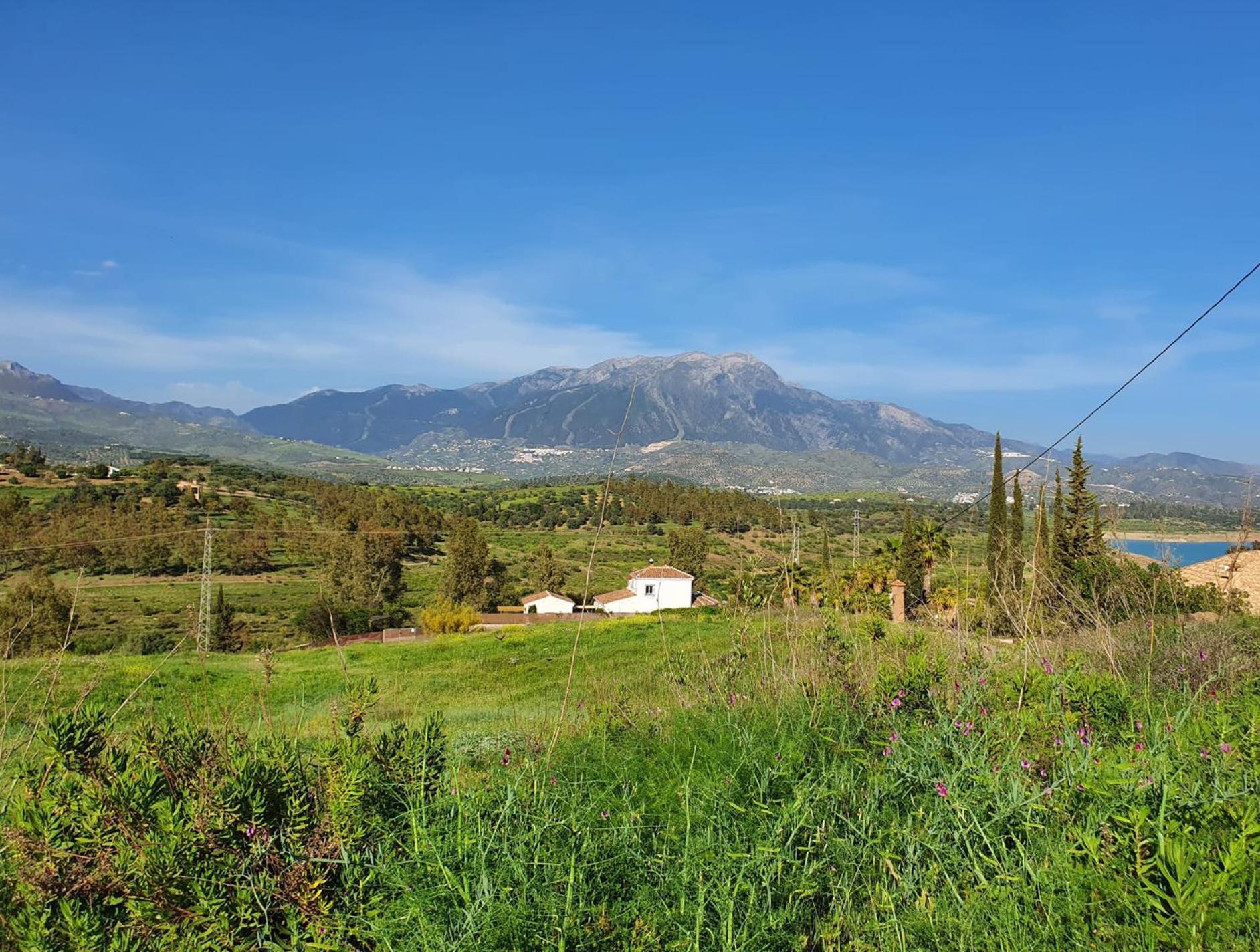 La Rustica En Vinuela, Piscina Privada Villa Bagian luar foto